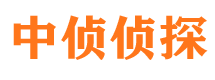 革吉市侦探公司